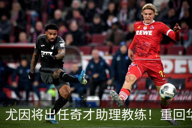 尤因将出任奇才助理教练！重回华盛顿执教 有望助浓眉进一步提升