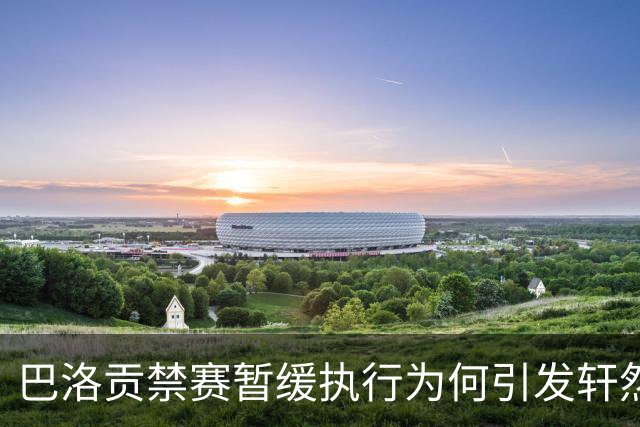 巴洛贡禁赛暂缓执行为何引发轩然大波？